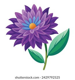 Vector of illustration aster on white