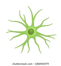 Vector illustration of Astrocyte. Cell of Neuroglia