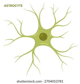 Ilustración vectorial de un astrocito, un tipo de célula glial en el cerebro