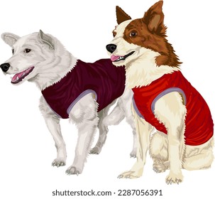 Vector illustration of astronaut dogs Belka and Strelka. 
Mongrel wearing jacket. Vector illustration of a dogs in doggy jacket. 
Mongrel vector graphic on transparent background. Illustrations of dog