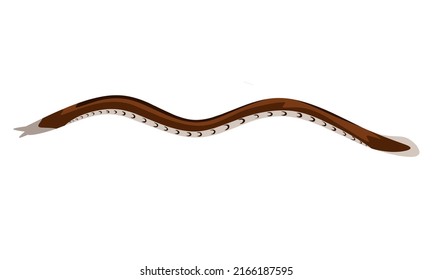 Vector illustration of Atlantic Hagfish or Myxine Glutinosa. Isolated on a white background.