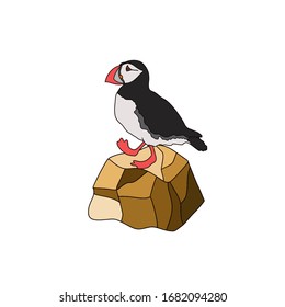 Vector illustration of the Atlantic puffin. Funny Northern bird isolated on a white background in cartoon style . For banners, textiles, Wallpapers, postcards, website design, web pages, etc.