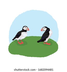 Vector illustration of the Atlantic puffin. Funny Northern bird isolated on a light background in a realistic watercolor style.  For banners, textiles, websites, web pages, and children's design.