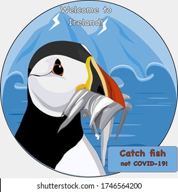 Vector illustration Atlantic Puffin Lunde caught a lot of fish and holds it in beak in the background Iceland mountains and the ocean, close-up cute portrait, travel, no Covid-19.