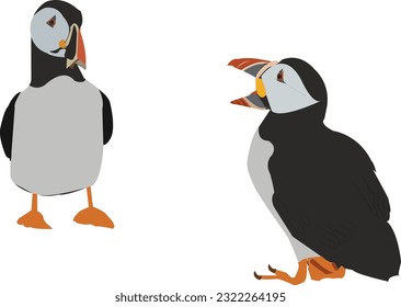 Vector illustration of the Atlantic puffin. Set of funny Northern birds isolated on a white background in cartoon style . For banners, textiles, website design, web pages and children's design.