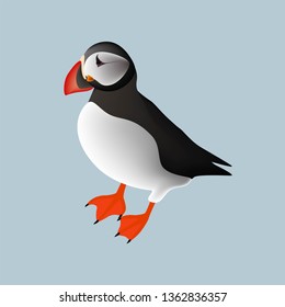 Vector illustration of a atlantic puffin.Bird