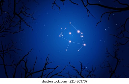 Vector illustration Auriga constellation. Bright constellation in open space. Starry sky behind the creepy branches