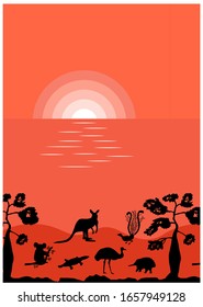 Vector illustration of Australia and Australian animals. Cover template design for notebook, pannels, tiles. Kangaroo, koala, lyre bird, platypus, echidna, bottle tree. Orange sea sunset