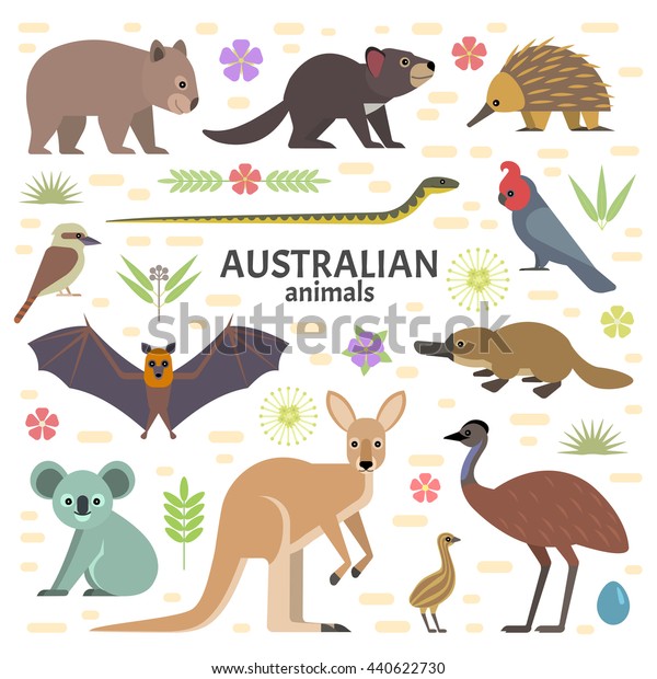 オーストラリアの動物のベクターイラスト 透明な背景にフライキツネ カンガルー コアラ タスマニアデビル エシドナ ウンバット エム コッカトゥー プラチプス のベクター画像素材 ロイヤリティフリー