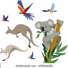 Vector illustration of Australian wild animals. Koala, kangaroo, parrot and other birds on isolated background