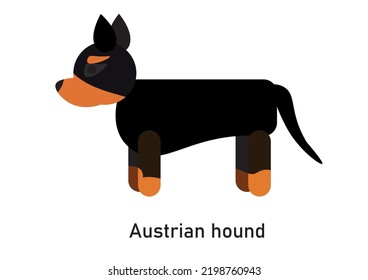 Vector illustration of an Austrian hound