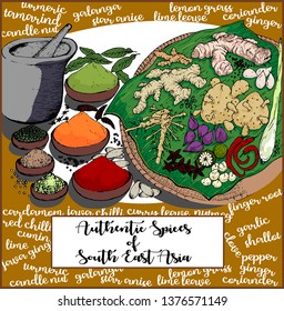Vector illustration of authentic South East Asian's spices. Editable image and text that enable user to create new picture presentation or only to tweak into desired final product. 