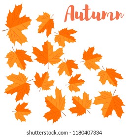 Vector illustration. Autumn background. Falling yellow maple leaves