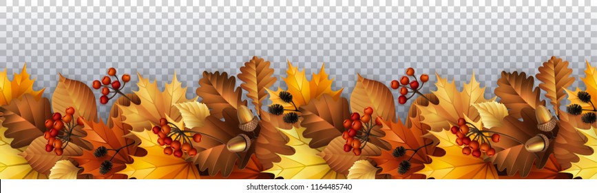 Vector illustration - Autumn background with leaves, berries and cones. EPS 10