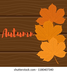 Vector illustration. Autumn background. Leaves of chestnut yellow on a wooden background