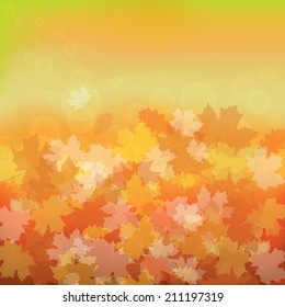 Vector illustration of an autumn background with maple and oak leaves, in bright cheerful colors