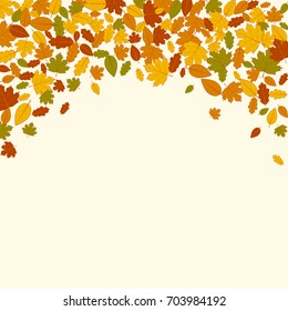 Vector illustration. Autumn background. Pattern of falling colorful leaves. Design for packaging, poster, banner, card.