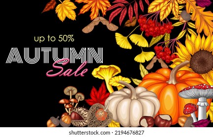 Vector illustration of autumn banner template. Maple leaf, chestnut, mountain ash, fallen leaves, fly agaric, chanterelles, acorns, physalis, maple seeds, sunflower, pumpkin, ginkgo, mushrooms