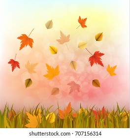 Vector illustration of an autumn bokeh background with fall leaves and grass. Ready objects, elements with autumn background for your flyer, banner, infographics, poster, advertisement, greeting card.