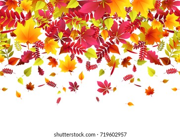 Vector illustration of autumn border background with falling multi colored oak, rowan, maple, birch, willow, chestnut, ash leaves like leaf fall in bright style isolated on white background