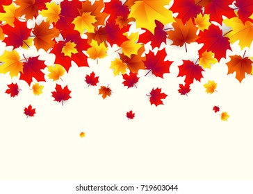 Vector illustration of autumn border background with falling multi colored maple leaves like leaf fall in bright style isolated on white background