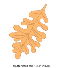 Vektorgrafik Herbstbraunes Eichenblatt auf weißem, isoliertem Hintergrund.