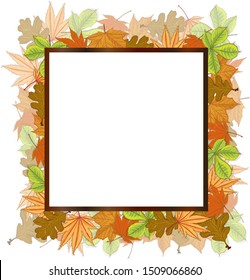 Vector illustration of autumn composition. Frame made of colorfull dried leaves. Autumn, fall concept.Top view,  Flat lay.