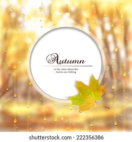 Vector illustration. Autumn composition with maple leaf. Rain drops on glass. Blurred misty background. Round frame for your text.