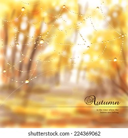 Vector illustration. Autumn composition with spider web and drops of dew or rain. Blurred misty background. Place for your text.