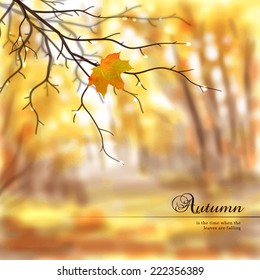 Vector illustration. Autumn composition with wet tree branches and maple leaf. Blurred misty background. Place for your text.