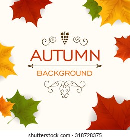 Vector Illustration of an Autumn Design
