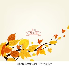 Vector Illustration of an Autumn Design