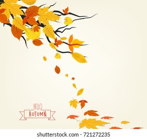 Vector Illustration of an Autumn Design