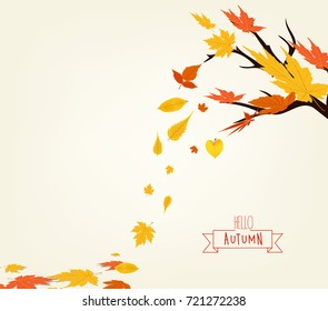 Vector Illustration of an Autumn Design
