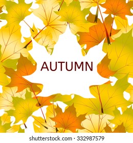 Vector Illustration of an Autumn Design with border and leaves background