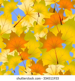 Vector Illustration of an Autumn Design with border and leaves background