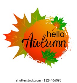 Vector illustration, Autumn   design with bright autumn leaves  simple background. Autumn  text.