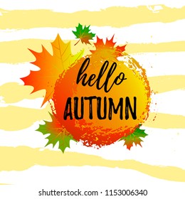 Vector illustration, Autumn   design with bright autumn leaves  simple background. Autumn  text.