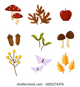 Vector illustration of autumn element