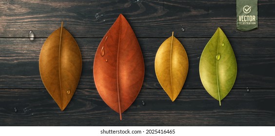 Vector illustration. Autumn, fall concept. Leaves on wood.