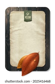 Vector illustration. Autumn, fall concept. Leaves on wood.