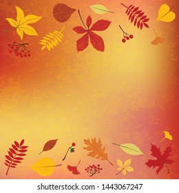 Vector illustration Autumn Fall leaves, seasonal berries, fruit, vegetables, pumpkin. Design. Template for placard, greeting postcard, design, flyer, presentation, web banner template