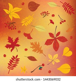 Vector illustration Autumn Fall leaves, seasonal berries, fruit, vegetables, pumpkin. Thanksgiving design. Template for placard, greeting postcard, design, flyer, presentation, web banner template