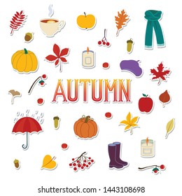 Vector illustration autumn fall leaves, berries, fruit, vegetables, candles, pumpkin. Seasonal lettering. Design. Template, placard, greeting postcard, design, flyer, presentation, web banner template