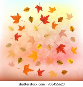 Vector illustration of a autumn fall leaves on an abstract bokeh background. Ready objects, elements with autumn background for your flyer, banner, infographics, advertisement, greeting, wedding card.