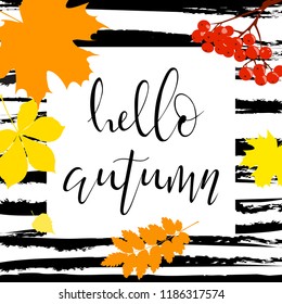 vector illustration. autumn fallen leaves, lettering Hello autumn
