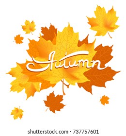 Vector illustration autumn falling leaves. Autumn calligraphy.. 