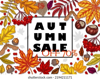 Vector illustration of an autumn frame. Maple leaf, chestnut, mountain ash, chanterelles, white mushroom, fly agaric, fallen leaves, berries, acorns, physalis, maple seeds