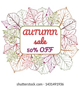 Vector illustration of autumn with frame for text Autumn sale. Hand drawn. Seasonal illustration with leafs.