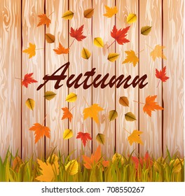Vector illustration of an autumn grass with fall leaves and typography on a wooden background. Ready objects with autumn background for your flyer, banner, infographics, poster, advertisement,card. 